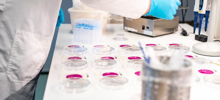 Mikrobiologisk stammebank