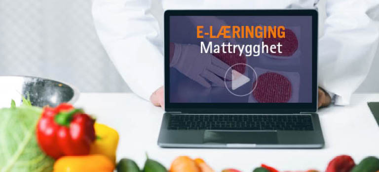 E-læring, Webinar & Kurs