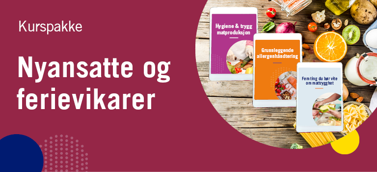 Opplæring for ferievikarer og nyansatte