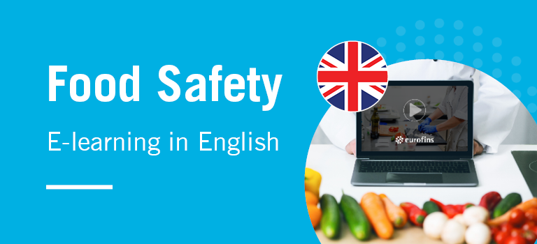 English e-Learning Courses