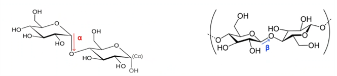 Alfa- og betabindinger