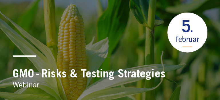 GMO: Risks & Testing Strategies