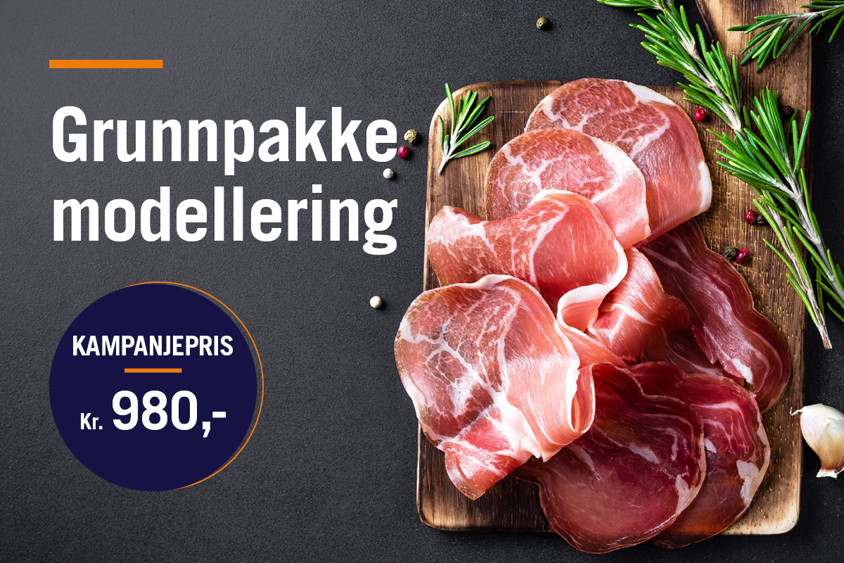 Grunnpakke modellering