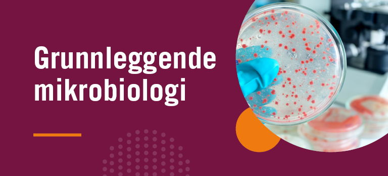 Grunnleggende mikrobiologi