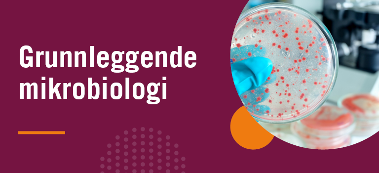 Grunnleggende mikrobiologi