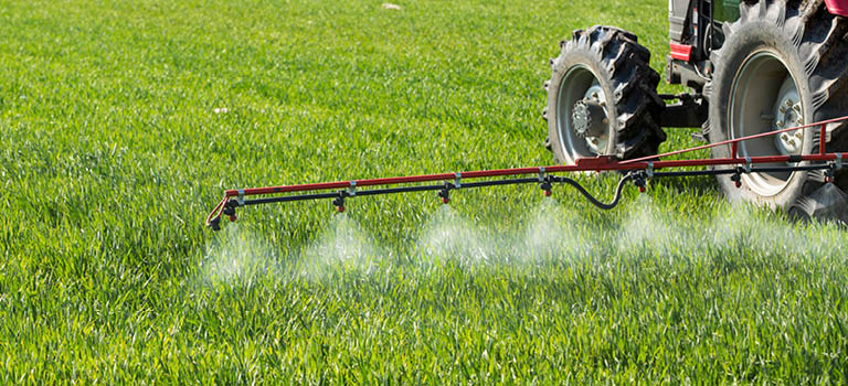 Plantevernmidler – nytte, risiko og betydning for mattrygghet