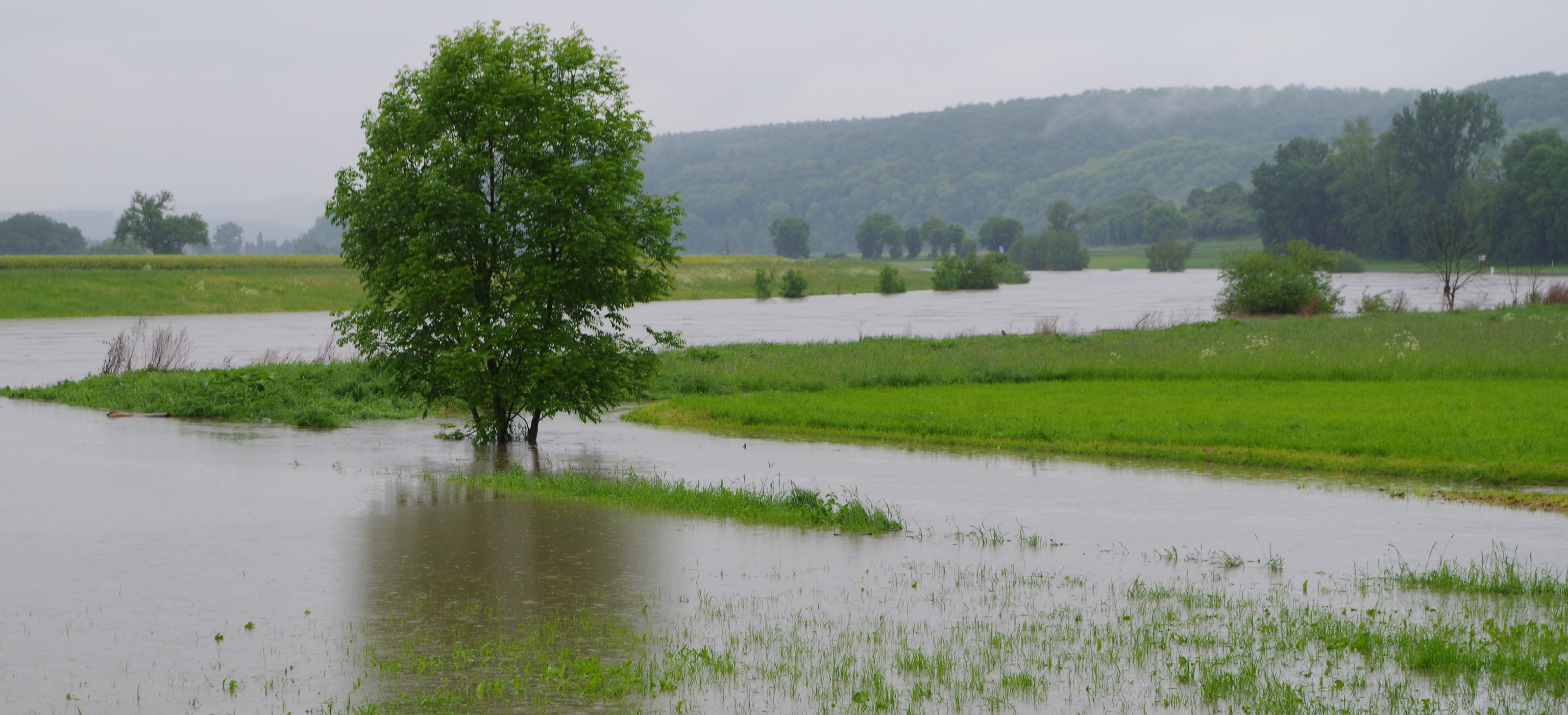 Klimaendringer og mattrygghet